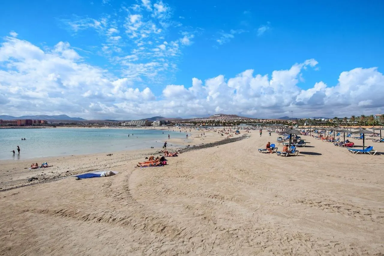 Surf Home Sea View Costa De Antigua Apartment